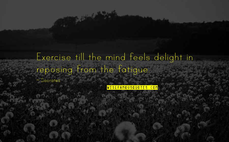 Till Quotes By Socrates: Exercise till the mind feels delight in reposing