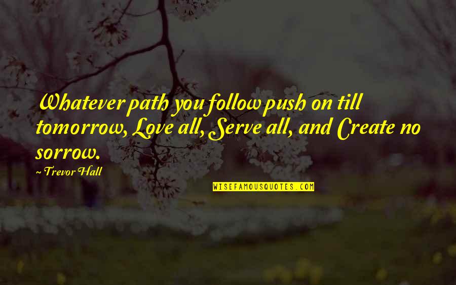 Till Tomorrow Quotes By Trevor Hall: Whatever path you follow push on till tomorrow,