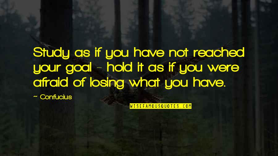 Tilleda Quotes By Confucius: Study as if you have not reached your Tilleda Quotes By Confucius: Study as if you have not reached your