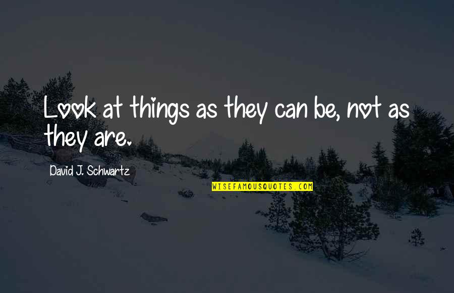 Tilotta Dana Quotes By David J. Schwartz: Look at things as they can be, not