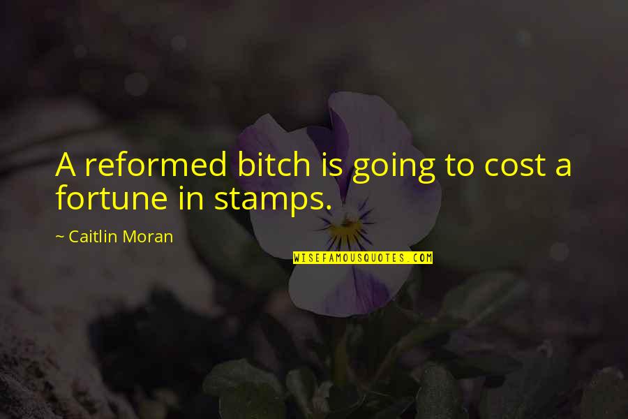 Tilstra Centracare Quotes By Caitlin Moran: A reformed bitch is going to cost a