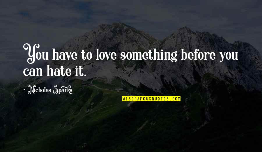 Tilt A Whirl Quotes By Nicholas Sparks: You have to love something before you can Tilt A Whirl Quotes By Nicholas Sparks: You have to love something before you can