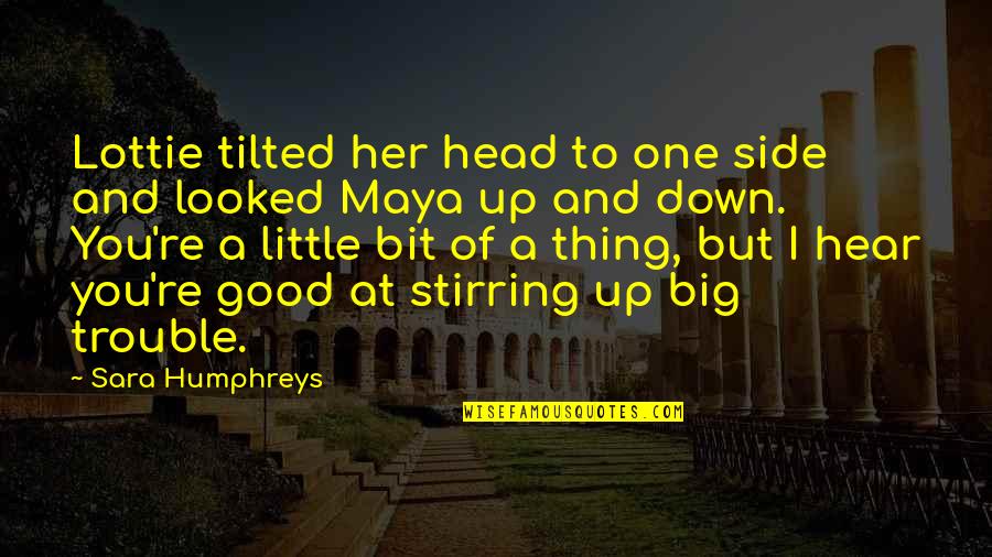 Tilted Quotes By Sara Humphreys: Lottie tilted her head to one side and