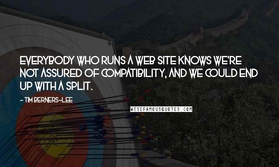Tim Berners-Lee quotes: Everybody who runs a Web site knows we're not assured of compatibility, and we could end up with a split.