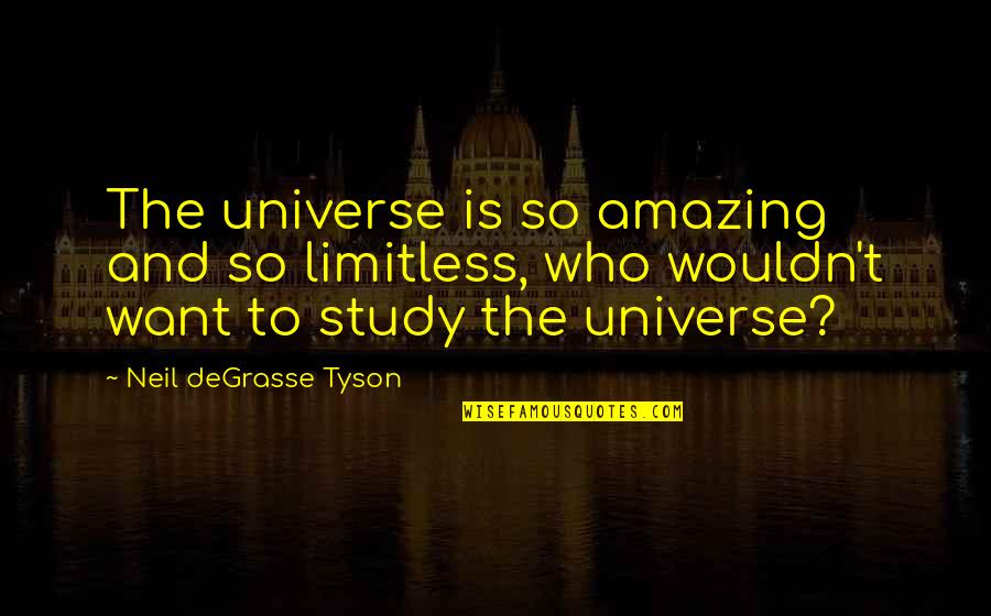 Tim Burgess Quotes By Neil DeGrasse Tyson: The universe is so amazing and so limitless,