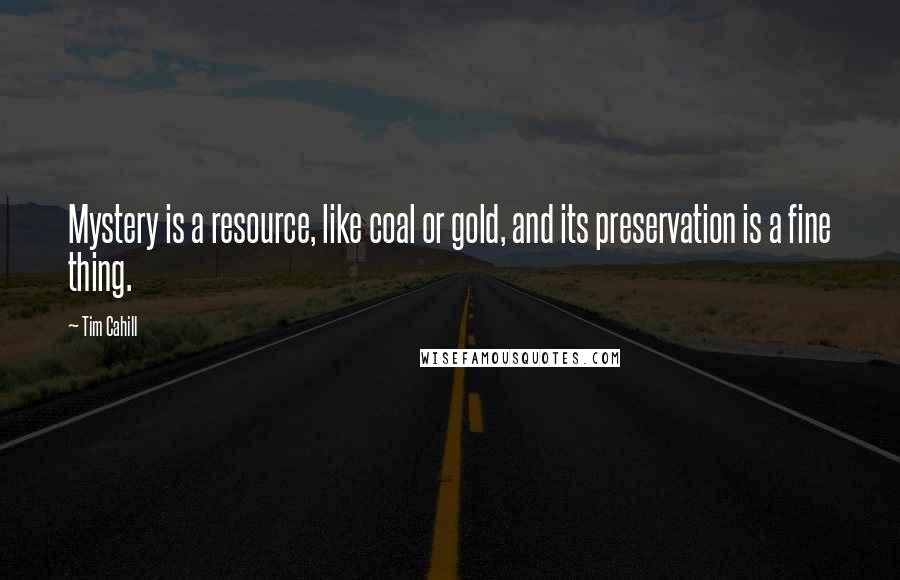 Tim Cahill quotes: Mystery is a resource, like coal or gold, and its preservation is a fine thing.