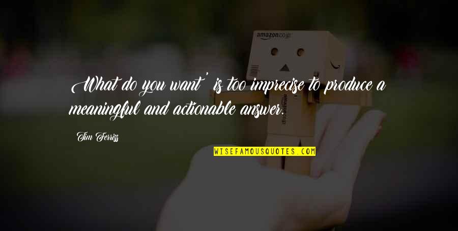 Tim Ferriss Quotes By Tim Ferriss: What do you want?' is too imprecise to
