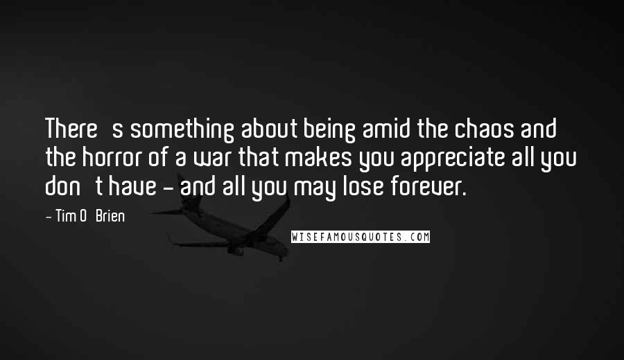 Tim O'Brien quotes: There's something about being amid the chaos and the horror of a war that makes you appreciate all you don't have - and all you may lose forever.