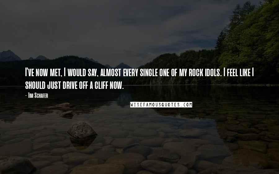 Tim Schafer quotes: I've now met, I would say, almost every single one of my rock idols. I feel like I should just drive off a cliff now.