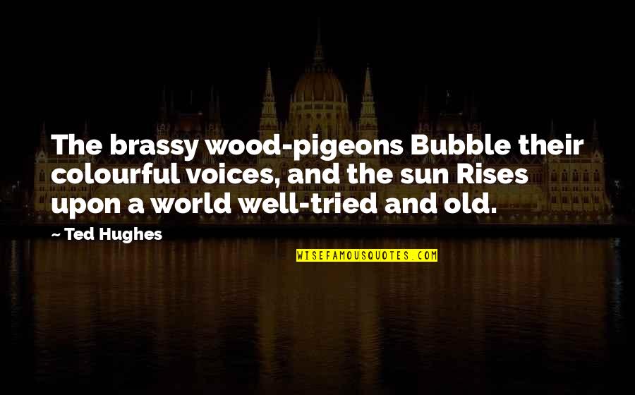 Tim Staples Quotes By Ted Hughes: The brassy wood-pigeons Bubble their colourful voices, and