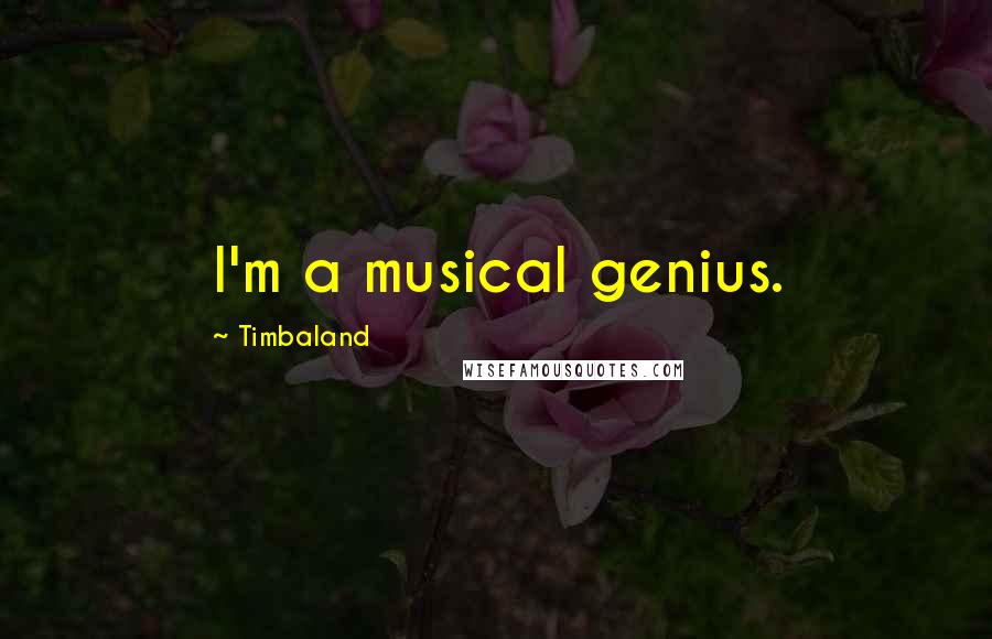 Timbaland quotes: I'm a musical genius.