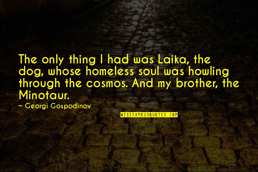 Timbales Drums Quotes By Georgi Gospodinov: The only thing I had was Laika, the Timbales Drums Quotes By Georgi Gospodinov: The only thing I had was Laika, the