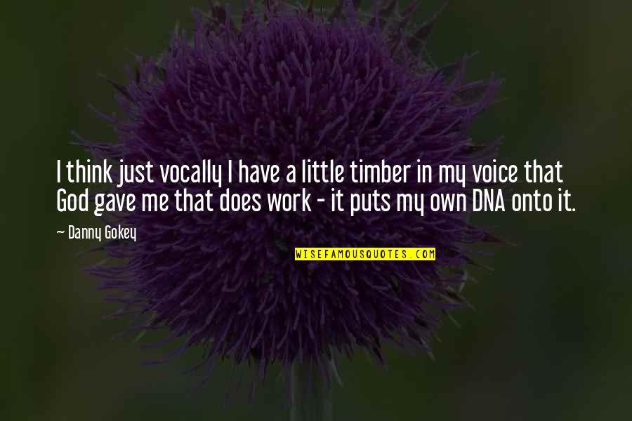 Timber Quotes By Danny Gokey: I think just vocally I have a little