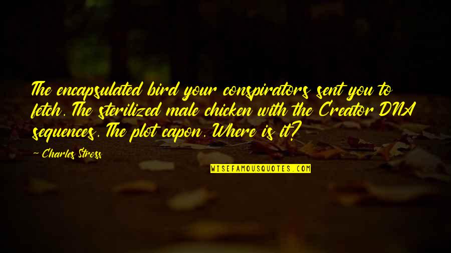 Timberlake Wertenbaker Quotes By Charles Stross: The encapsulated bird your conspirators sent you to