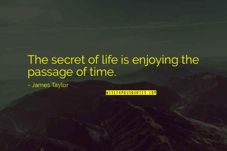 Time And Enjoying Life Quotes By James Taylor: The secret of life is enjoying the passage