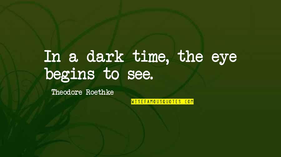 Time And Grief Quotes By Theodore Roethke: In a dark time, the eye begins to