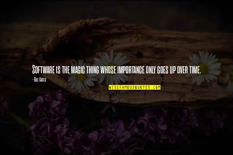 Time And Importance Quotes By Bill Gates: Software is the magic thing whose importance only