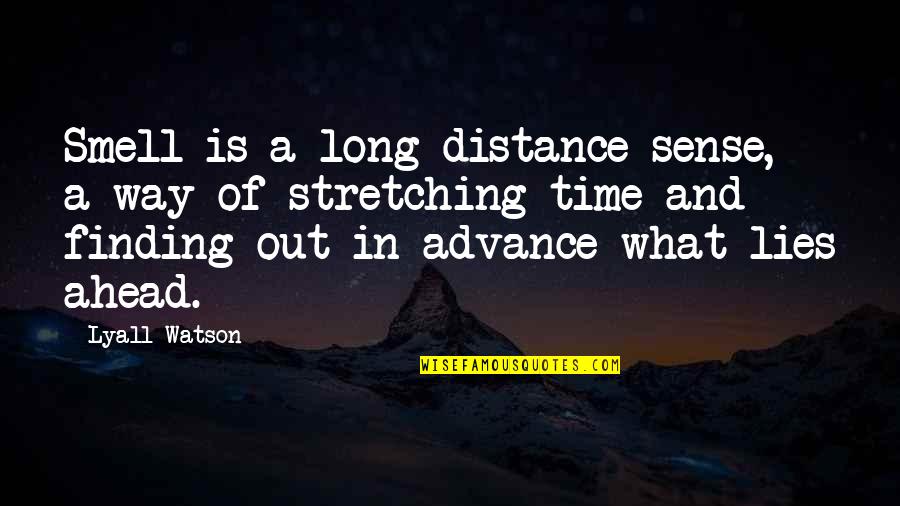 Time And Long Distance Quotes By Lyall Watson: Smell is a long-distance sense, a way of