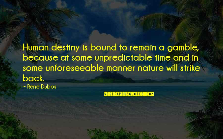 Time And Nature Quotes By Rene Dubos: Human destiny is bound to remain a gamble,