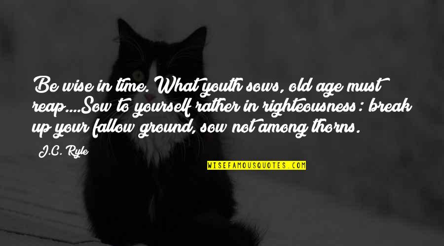 Time And Old Age Quotes By J.C. Ryle: Be wise in time. What youth sows, old
