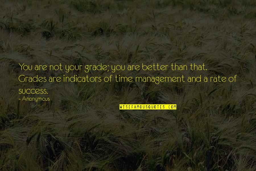 Time And Success Quotes By Anonymous: You are not your grade; you are better