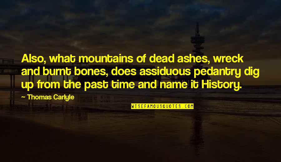 Time And The Past Quotes By Thomas Carlyle: Also, what mountains of dead ashes, wreck and
