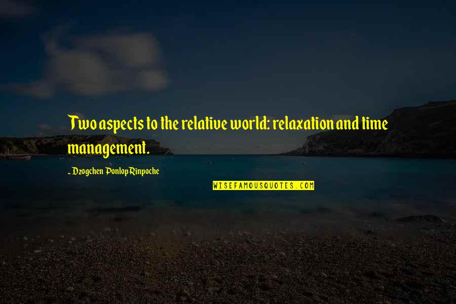 Time And Time Management Quotes By Dzogchen Ponlop Rinpoche: Two aspects to the relative world: relaxation and