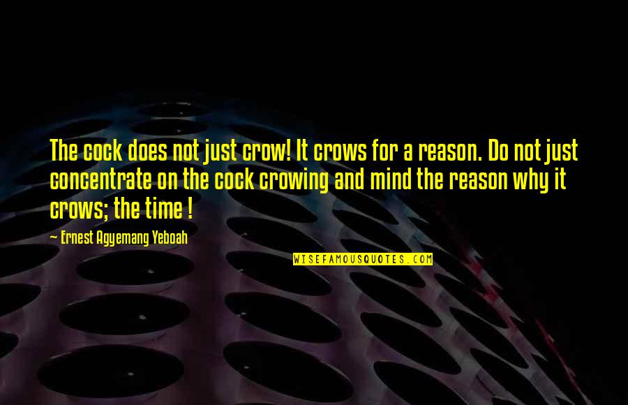 Time And Time Management Quotes By Ernest Agyemang Yeboah: The cock does not just crow! It crows