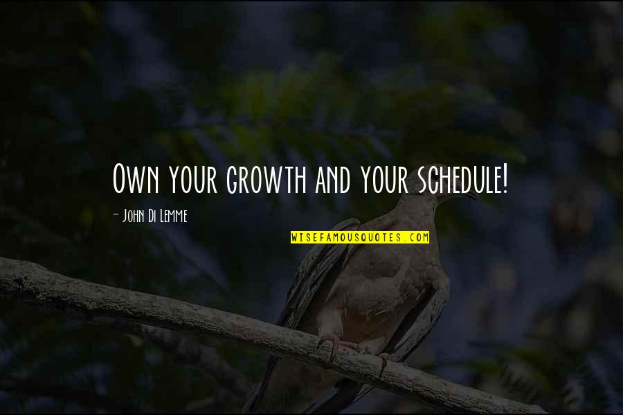 Time And Time Management Quotes By John Di Lemme: Own your growth and your schedule!