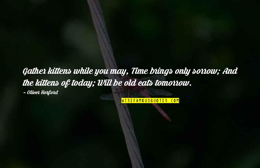 Time Brings Quotes By Oliver Herford: Gather kittens while you may, Time brings only Time Brings Quotes By Oliver Herford: Gather kittens while you may, Time brings only
