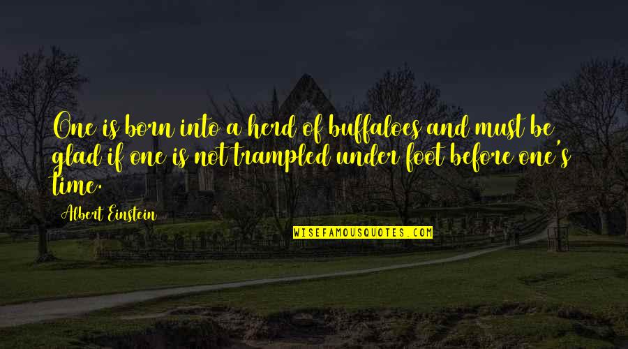 Time By Albert Einstein Quotes By Albert Einstein: One is born into a herd of buffaloes Time By Albert Einstein Quotes By Albert Einstein: One is born into a herd of buffaloes