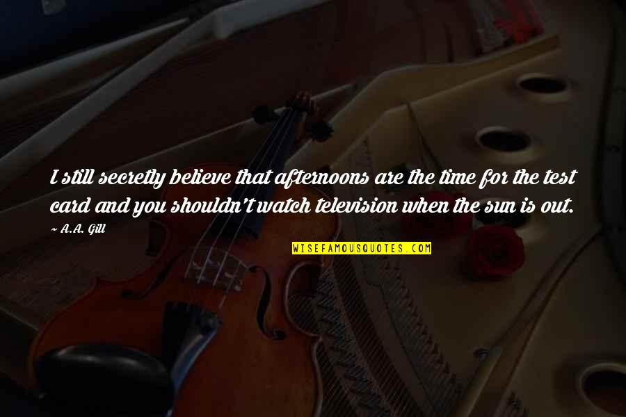 Time Cards Quotes By A.A. Gill: I still secretly believe that afternoons are the
