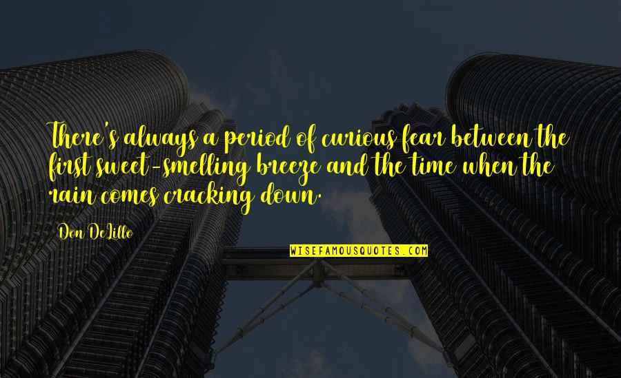 Time Comes Quotes By Don DeLillo: There's always a period of curious fear between