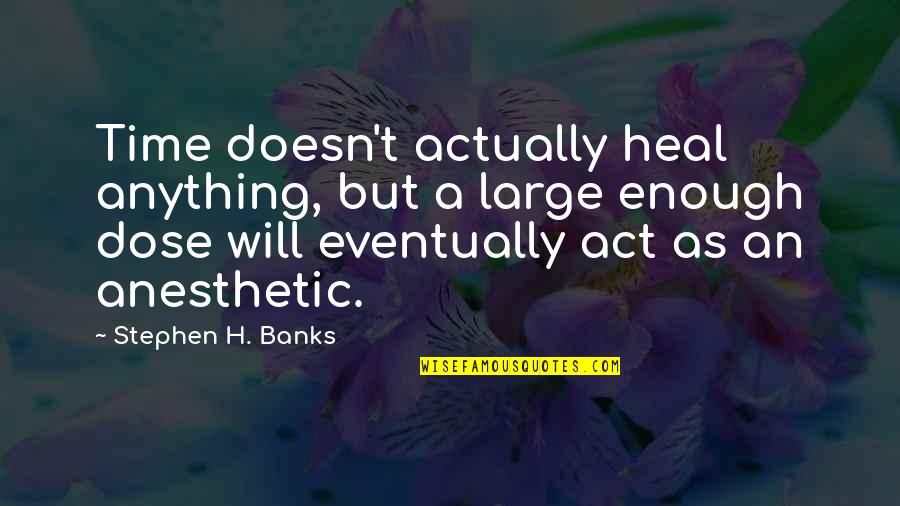 Time Doesn't Heal Anything Quotes By Stephen H. Banks: Time doesn't actually heal anything, but a large