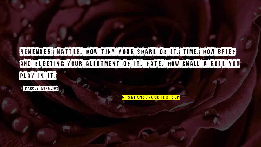 Time Fleeting Quotes By Marcus Aurelius: Remember: Matter. How tiny your share of it.
