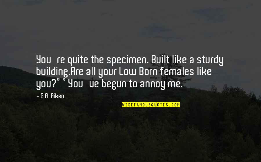 Time Flies Inspirational Quotes By G.A. Aiken: You're quite the specimen. Built like a sturdy Time Flies Inspirational Quotes By G.A. Aiken: You're quite the specimen. Built like a sturdy