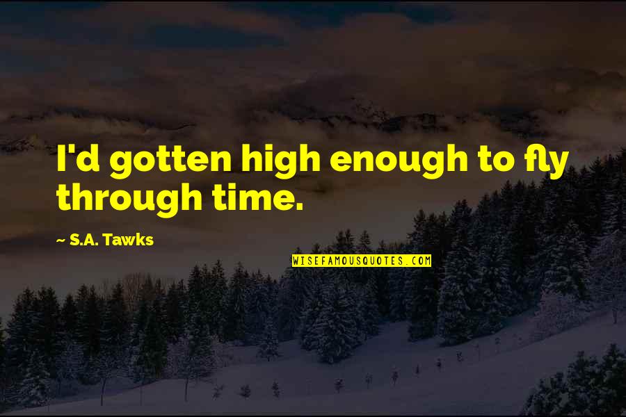Time Fly Quotes By S.A. Tawks: I'd gotten high enough to fly through time.