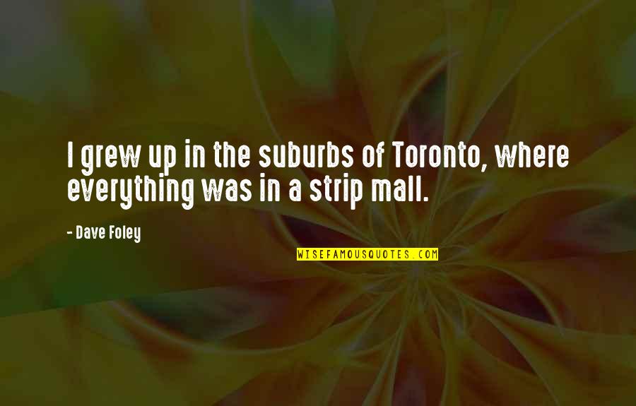 Time Flying And Love Quotes By Dave Foley: I grew up in the suburbs of Toronto,