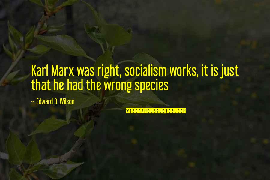 Time For New Friends Quotes By Edward O. Wilson: Karl Marx was right, socialism works, it is