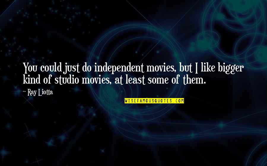 Time Frame For Stimulus Checks Quotes By Ray Liotta: You could just do independent movies, but I Time Frame For Stimulus Checks Quotes By Ray Liotta: You could just do independent movies, but I