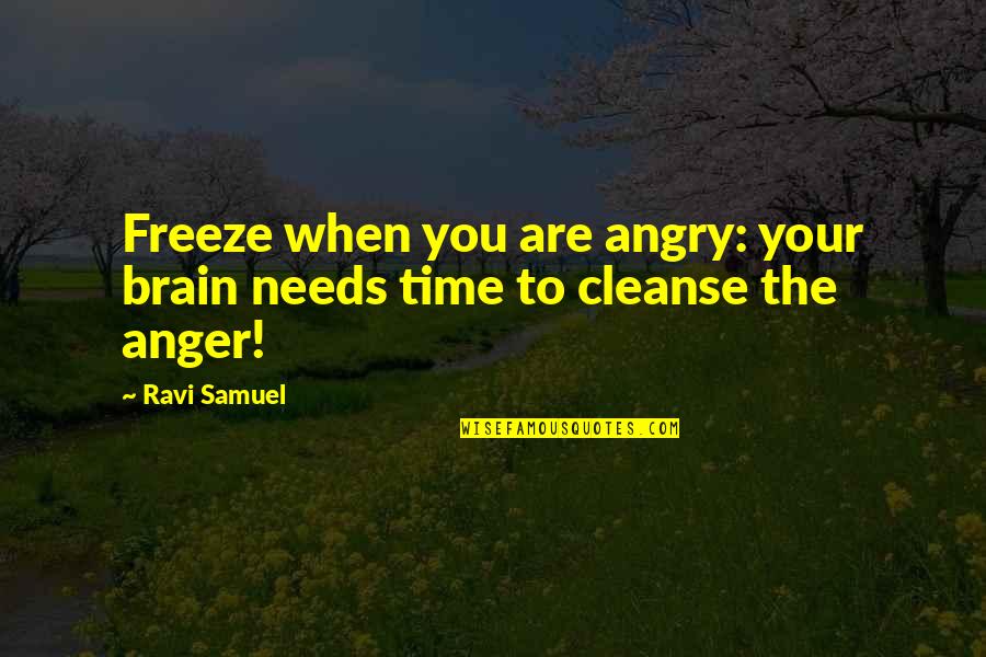 Time Freeze Quotes By Ravi Samuel: Freeze when you are angry: your brain needs