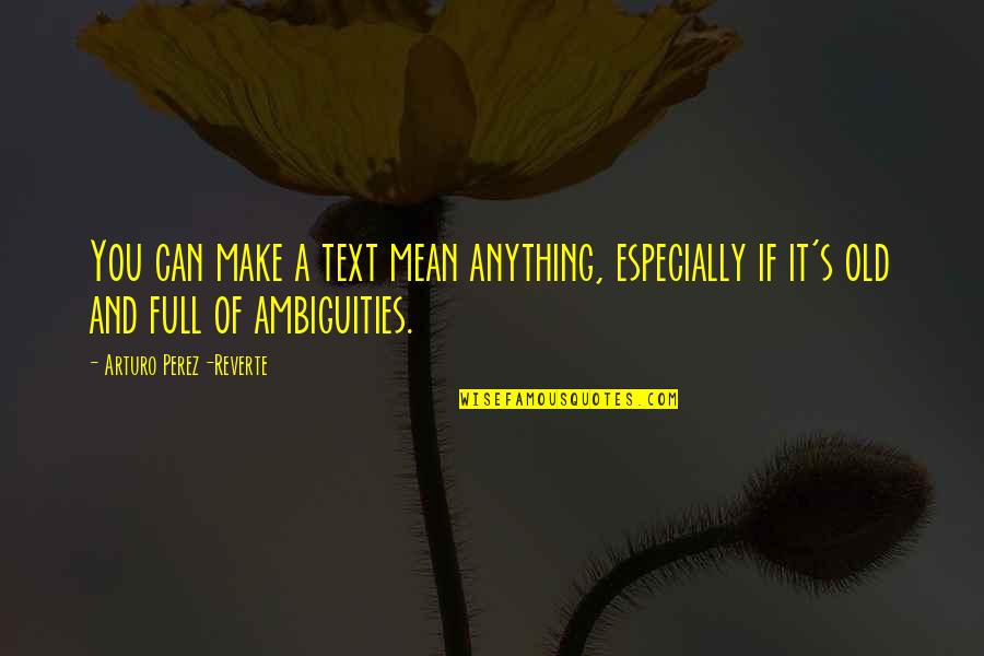 Time Heals Heartache Quotes By Arturo Perez-Reverte: You can make a text mean anything, especially