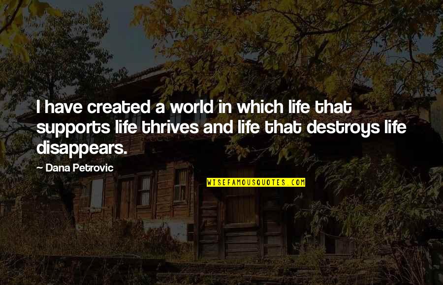 Time In Macbeth Quotes By Dana Petrovic: I have created a world in which life Time In Macbeth Quotes By Dana Petrovic: I have created a world in which life