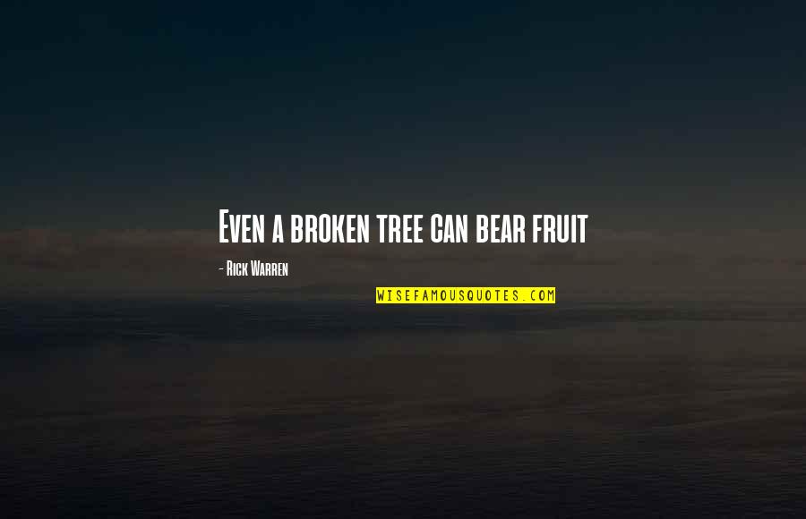 Time In Macbeth Quotes By Rick Warren: Even a broken tree can bear fruit