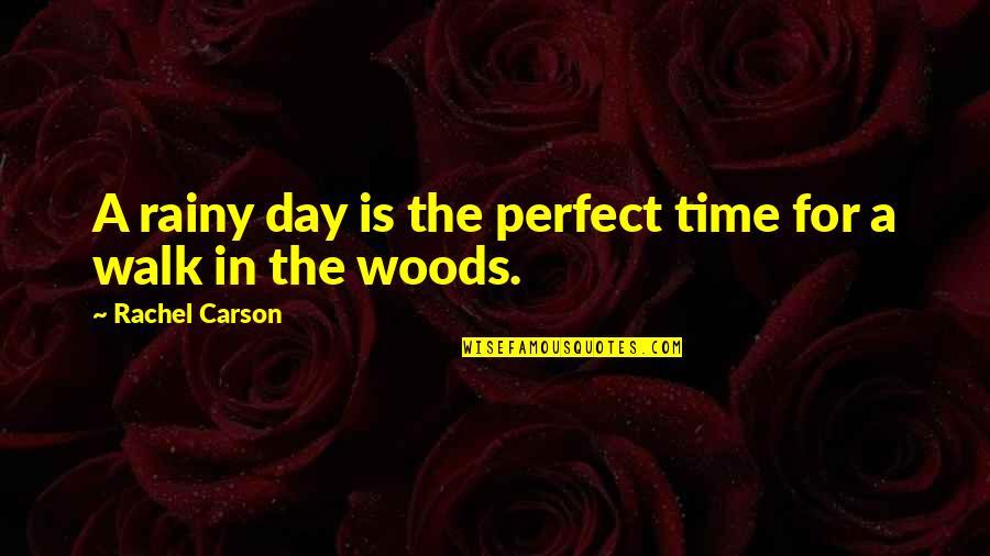 Time In The Day Quotes By Rachel Carson: A rainy day is the perfect time for