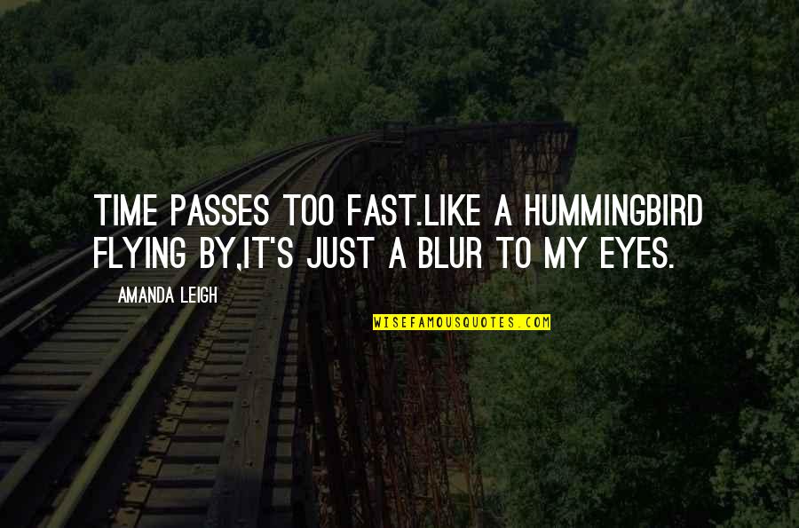 Time Is Flying So Fast Quotes By Amanda Leigh: Time passes too fast.Like a hummingbird flying by,it's