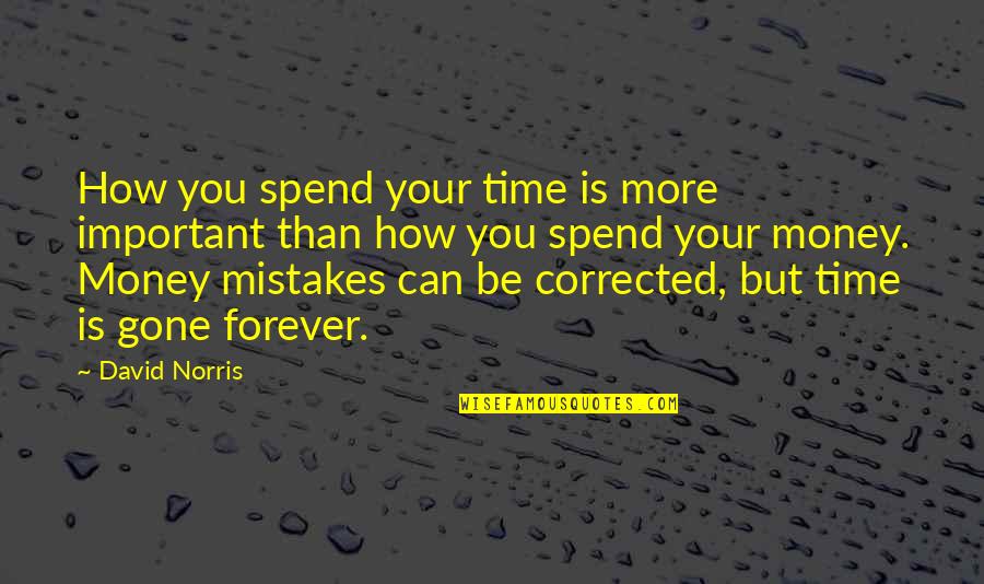 Time Is Important Than Money Quotes By David Norris: How you spend your time is more important