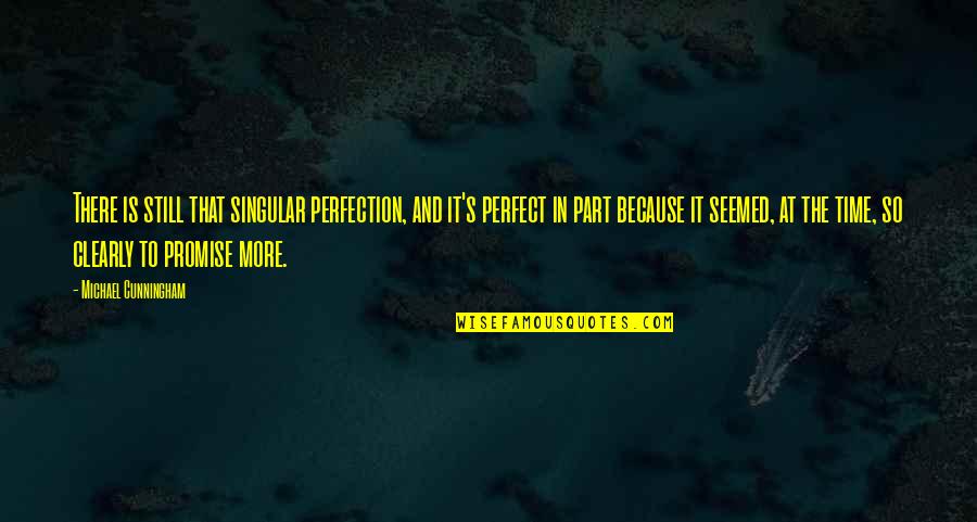 Time Is Perfect Quotes By Michael Cunningham: There is still that singular perfection, and it's