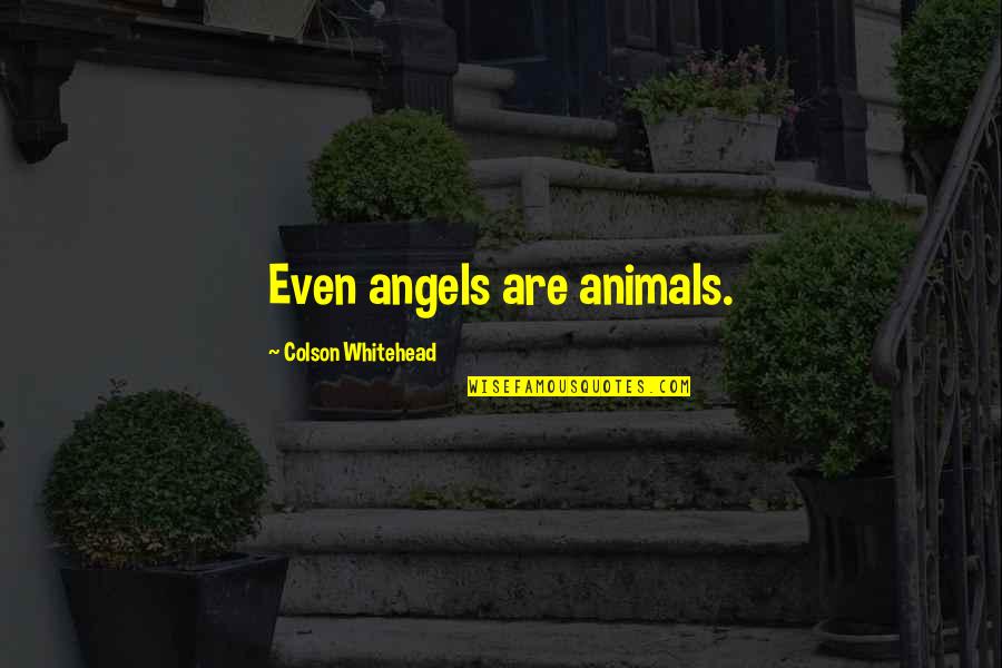 Time Is Very Important In A Relationship Quotes By Colson Whitehead: Even angels are animals.