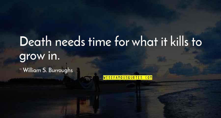 Time Kills Quotes By William S. Burroughs: Death needs time for what it kills to